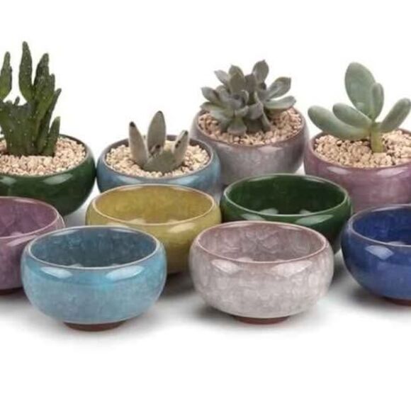Adorable Tiny Ceramic Succulent Pots SET of 6 - Picture 1 of 4